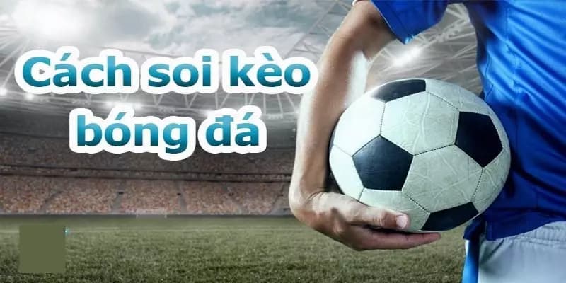 Mẹo soi kèo Handicap dành cho người mới tại keonhacaila